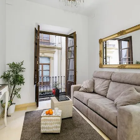 Apartamento Alcaiceria Apartment Granada