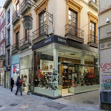 Apartamento Alcaiceria * Granada