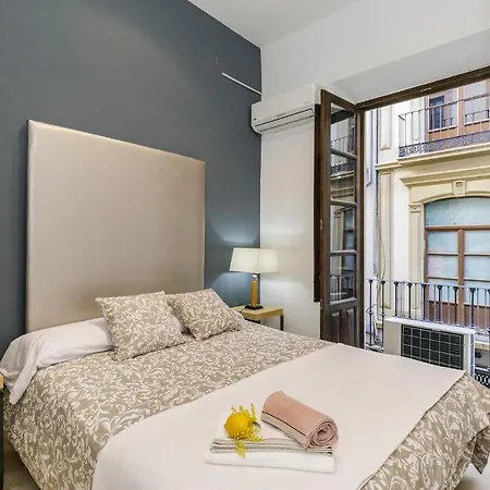 Apartamento Alcaiceria Apartment *