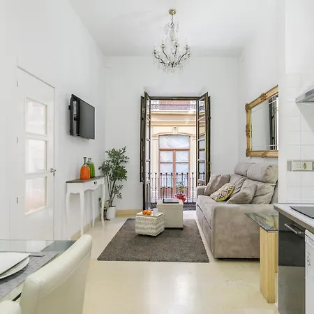 Apartamento Alcaiceria Apartment Granada