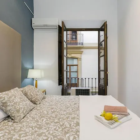 Apartamento Alcaiceria * Granada