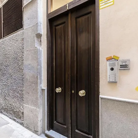 Apartamento Alcaiceria Daire Granada